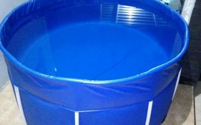 Ini Alasan Anda Perlu Beralih ke Kolam Terpal
